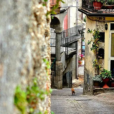 Casa Peppino Nistico 2 - Il Tuo Spazio Altrove- * Petrizzi